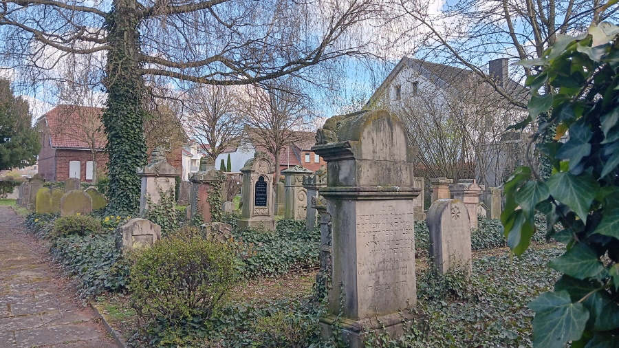 Friedhof_900